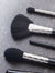6 pc Luxe Brush Set